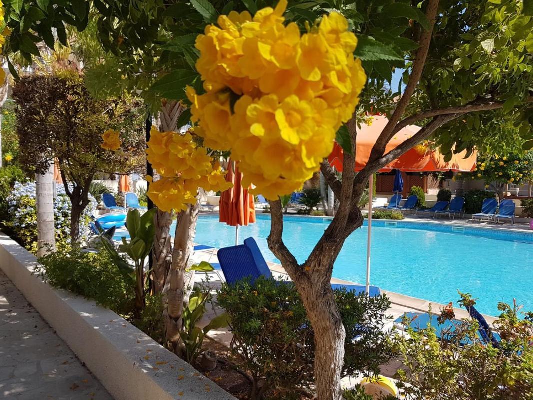 Villa Ilios In Kato Paphos Eksteriør bilde